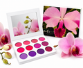 Orchid Pink Eyeshadow Palette – Cattleya Collection